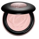 SKIN PERFECTING SETTING POWDER 01 GRASS