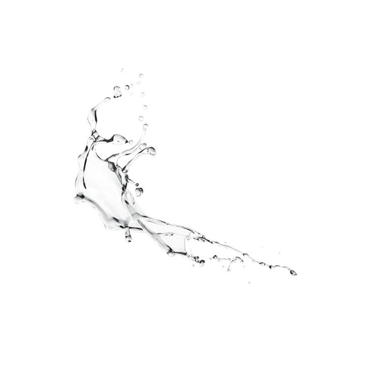 EAU DYNAMISANTE 100ML