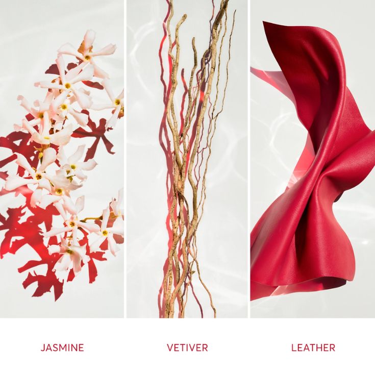 ALIVE PARFUM 