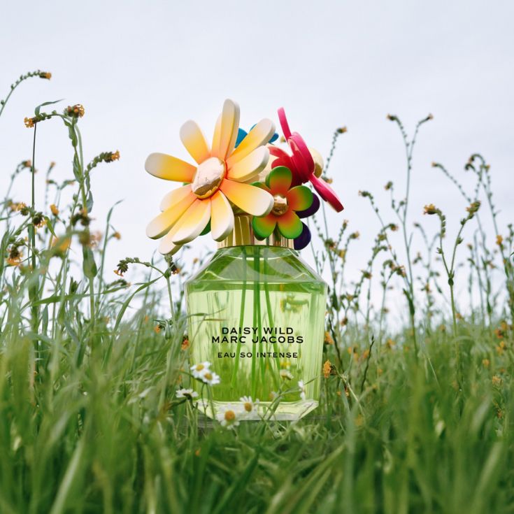 DAISY WILD INTENSE EAU DE PARFUM