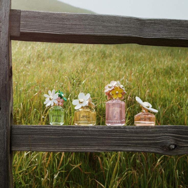 DAISY WILD INTENSE EAU DE PARFUM